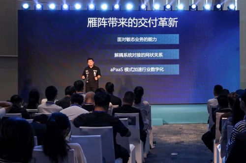 saas技術(shù)服務(wù)商優(yōu)鮮互聯(lián)發(fā)布 雁陣 產(chǎn)業(yè)協(xié)同平臺